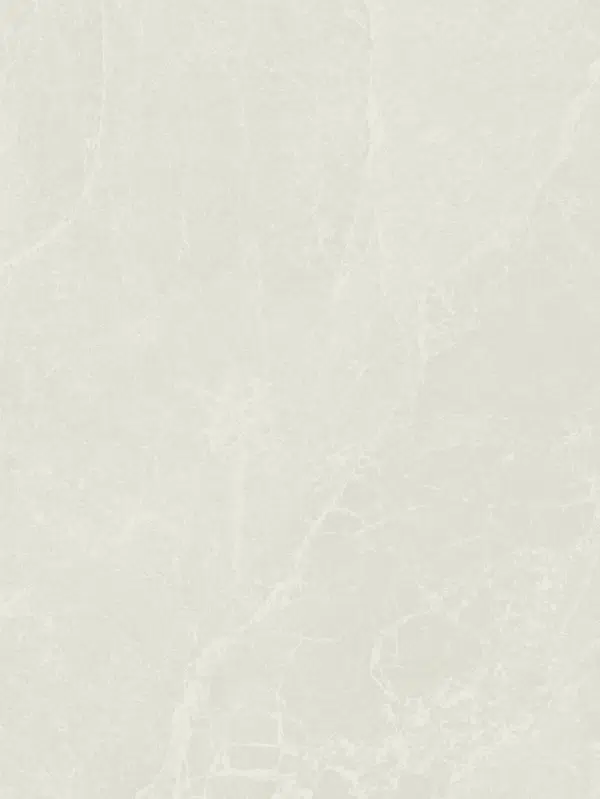 Ivory Matt Finish Porcelain Tile 300 x 600 mm